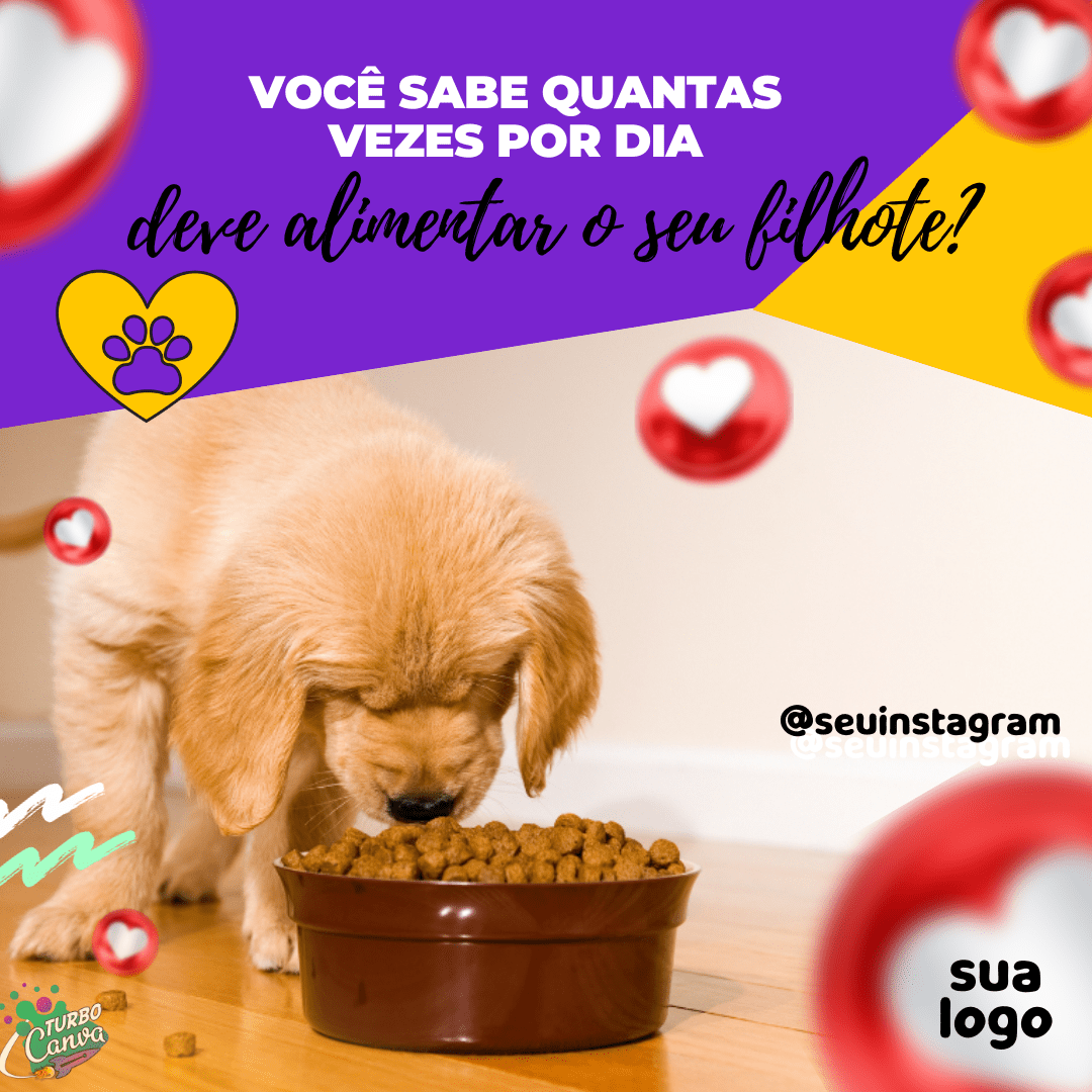 Cópia de PetShop 02 (1)